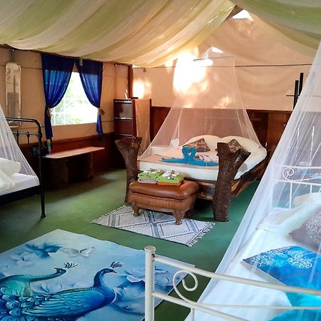 Fully Furnished Family Jungle Tent, Latino Glamping Пакера Екстериор снимка