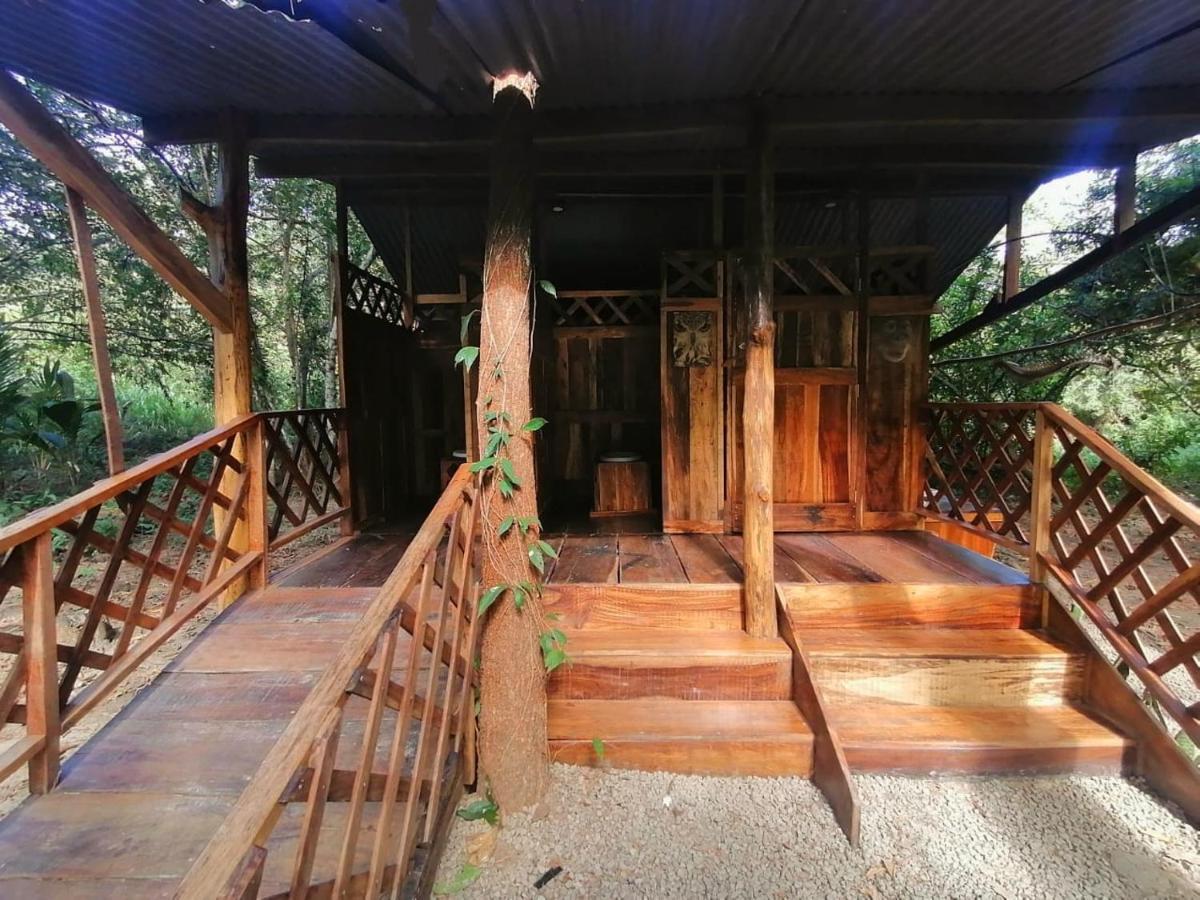 Fully Furnished Family Jungle Tent, Latino Glamping Пакера Екстериор снимка