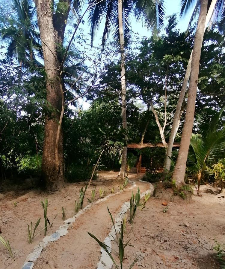 Fully Furnished Family Jungle Tent, Latino Glamping Пакера Екстериор снимка