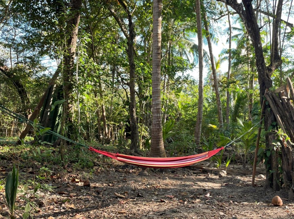 Fully Furnished Family Jungle Tent, Latino Glamping Пакера Екстериор снимка