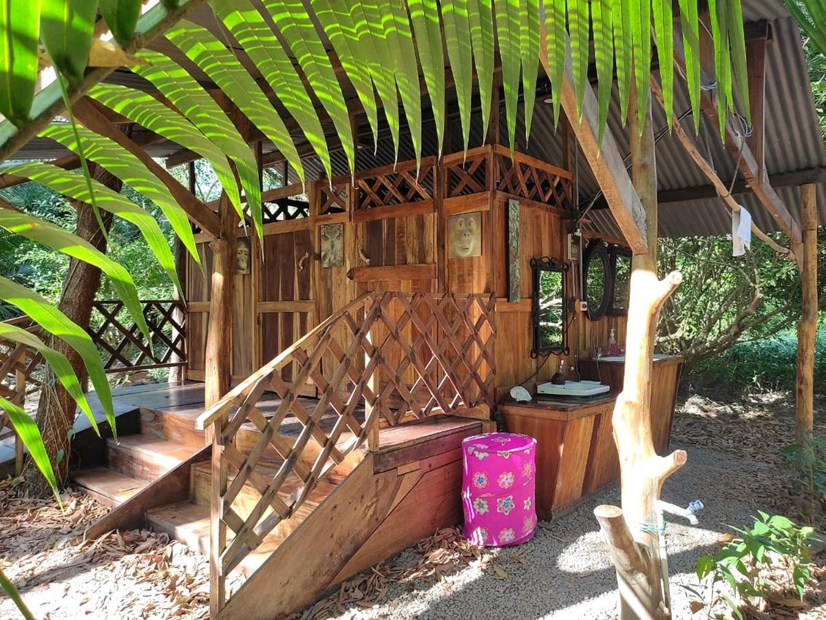 Fully Furnished Family Jungle Tent, Latino Glamping Пакера Екстериор снимка