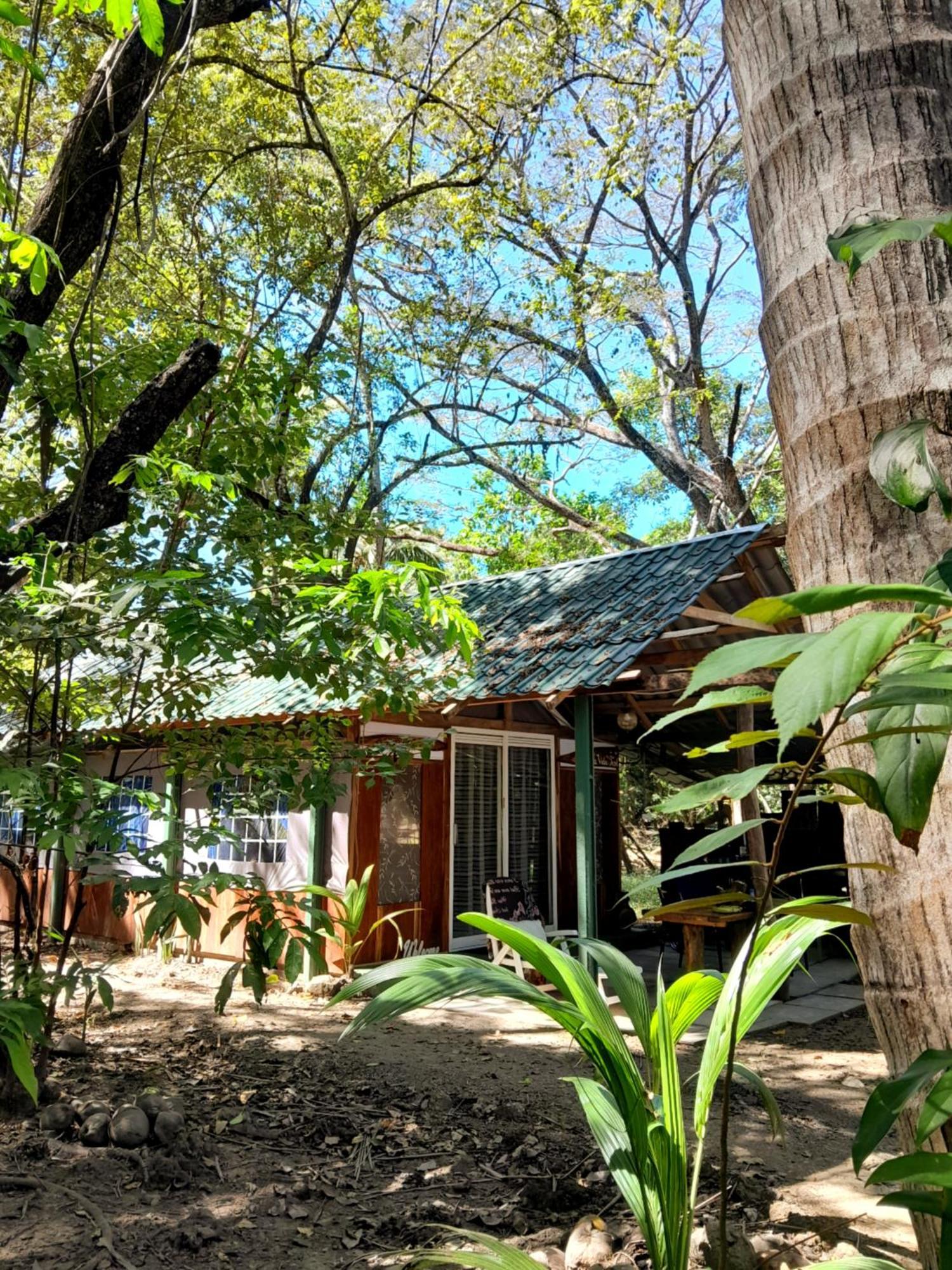 Fully Furnished Family Jungle Tent, Latino Glamping Пакера Екстериор снимка