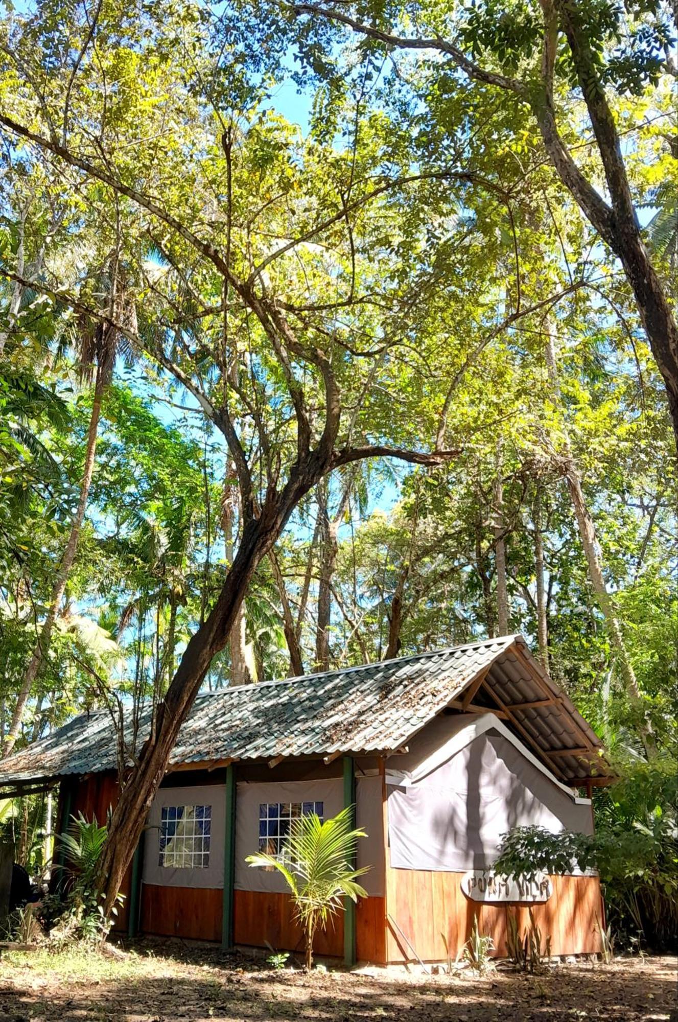 Fully Furnished Family Jungle Tent, Latino Glamping Пакера Екстериор снимка