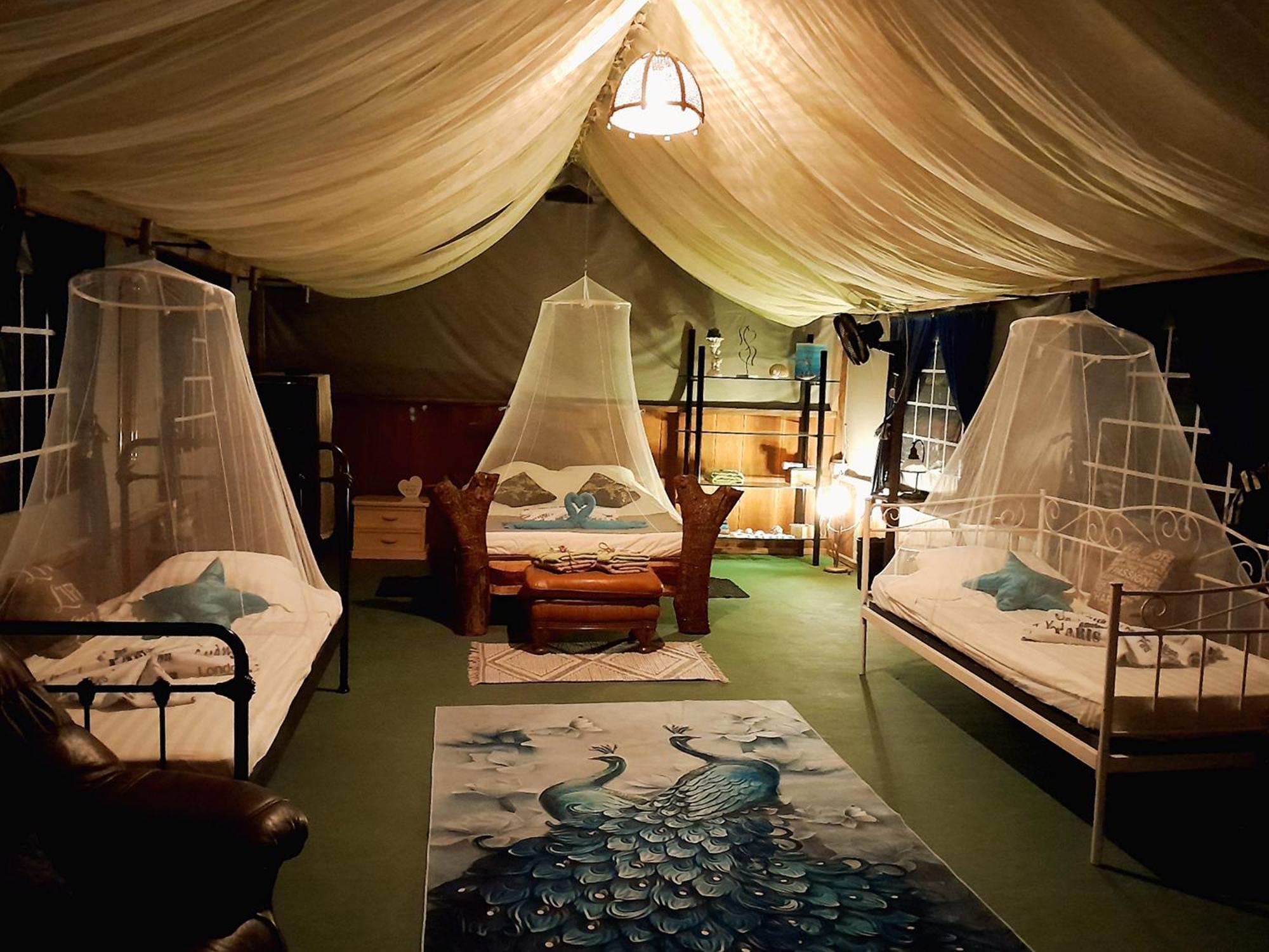 Fully Furnished Family Jungle Tent, Latino Glamping Пакера Екстериор снимка