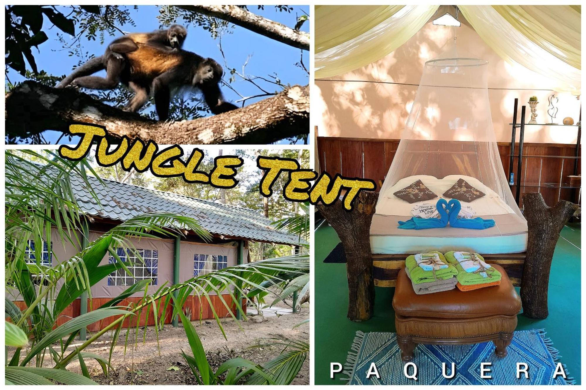 Fully Furnished Family Jungle Tent, Latino Glamping Пакера Екстериор снимка