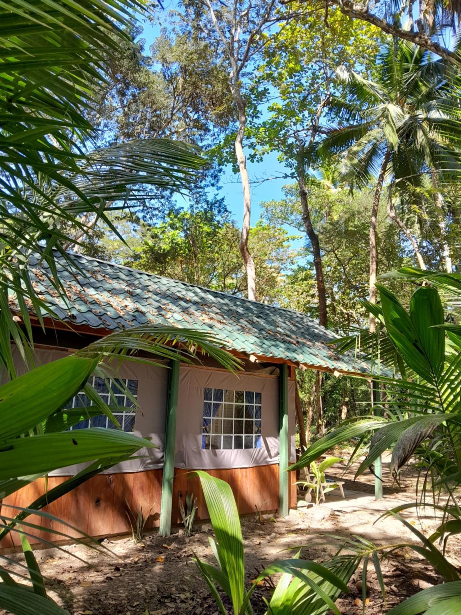 Fully Furnished Family Jungle Tent, Latino Glamping Пакера Екстериор снимка