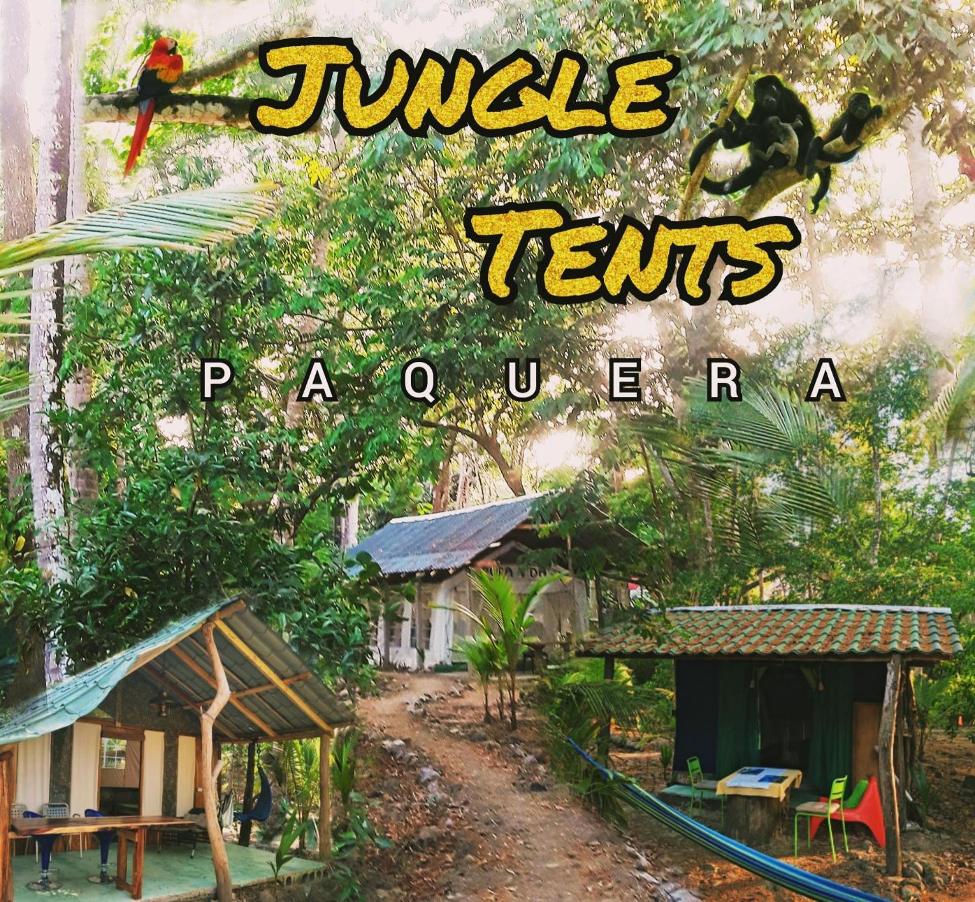 Fully Furnished Family Jungle Tent, Latino Glamping Пакера Екстериор снимка