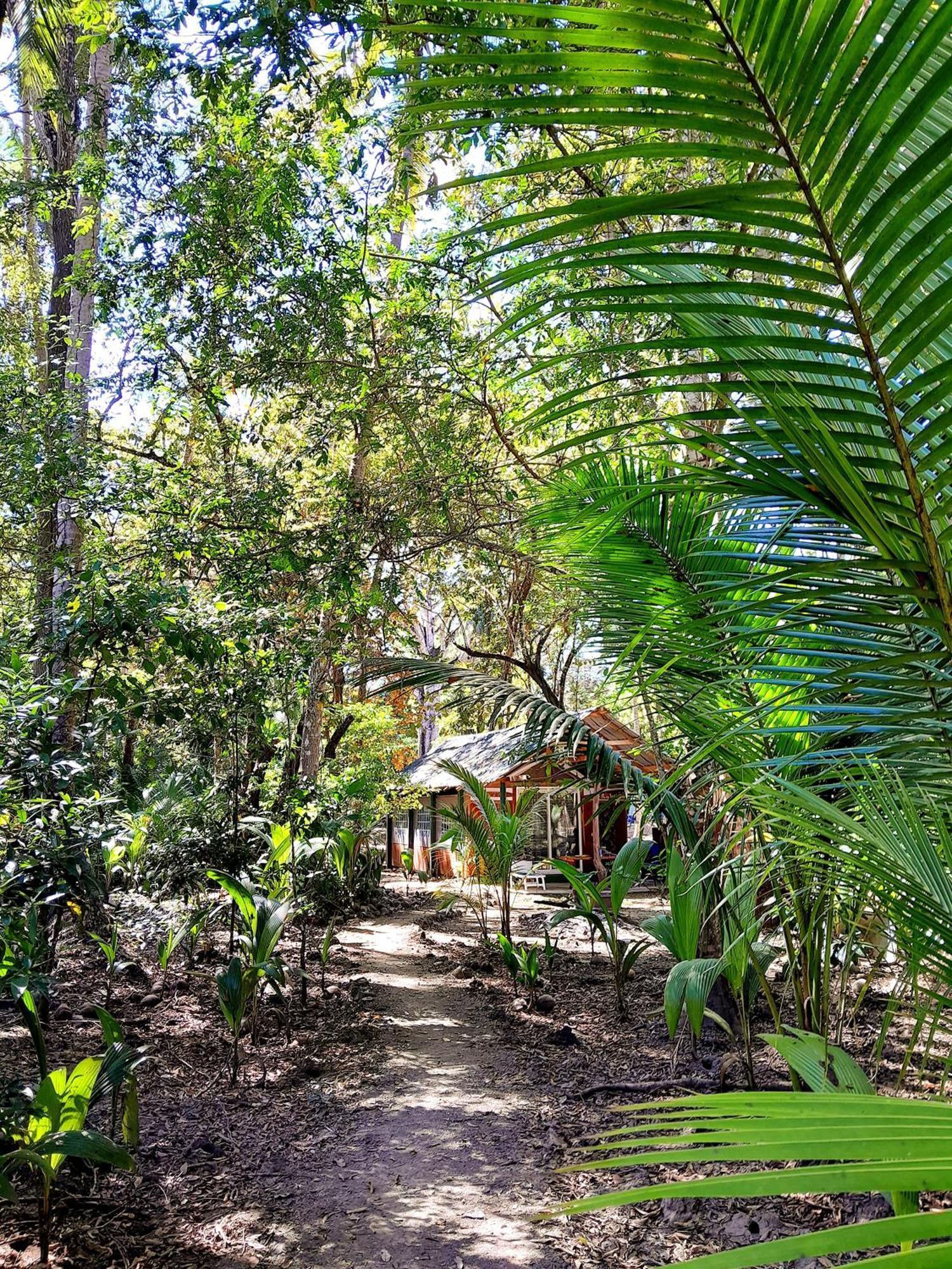 Fully Furnished Family Jungle Tent, Latino Glamping Пакера Екстериор снимка