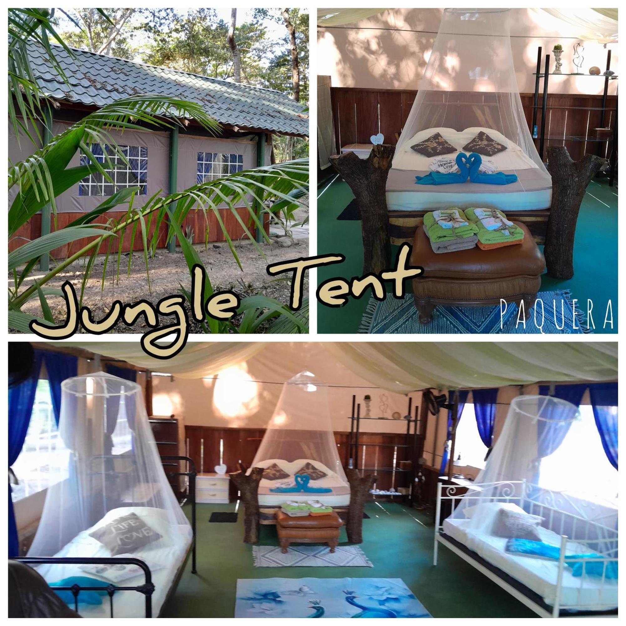 Fully Furnished Family Jungle Tent, Latino Glamping Пакера Екстериор снимка