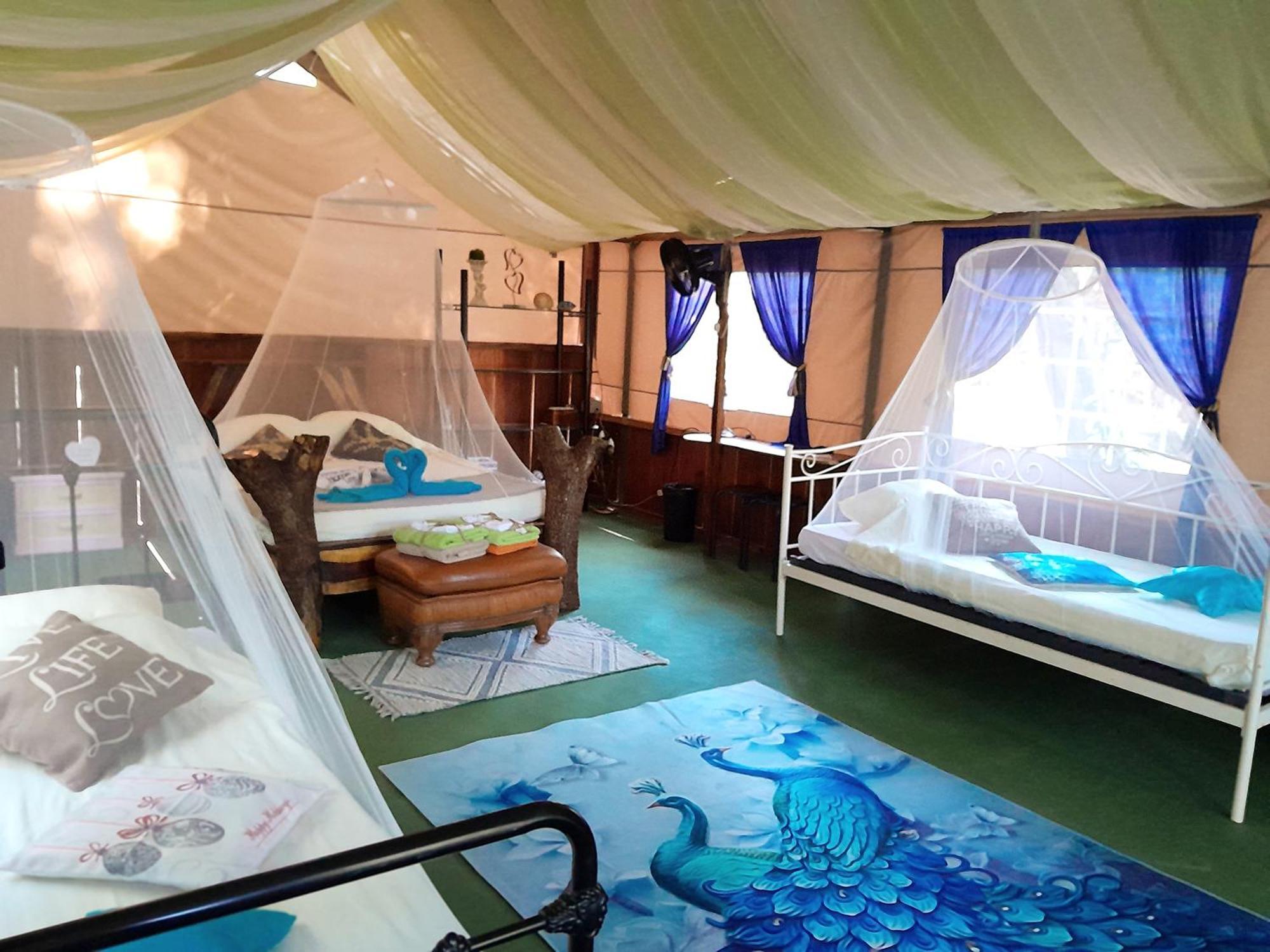 Fully Furnished Family Jungle Tent, Latino Glamping Пакера Екстериор снимка