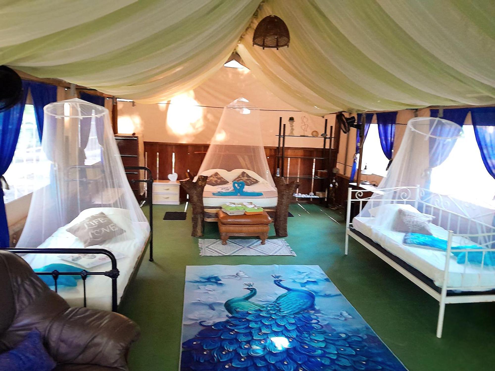 Fully Furnished Family Jungle Tent, Latino Glamping Пакера Екстериор снимка