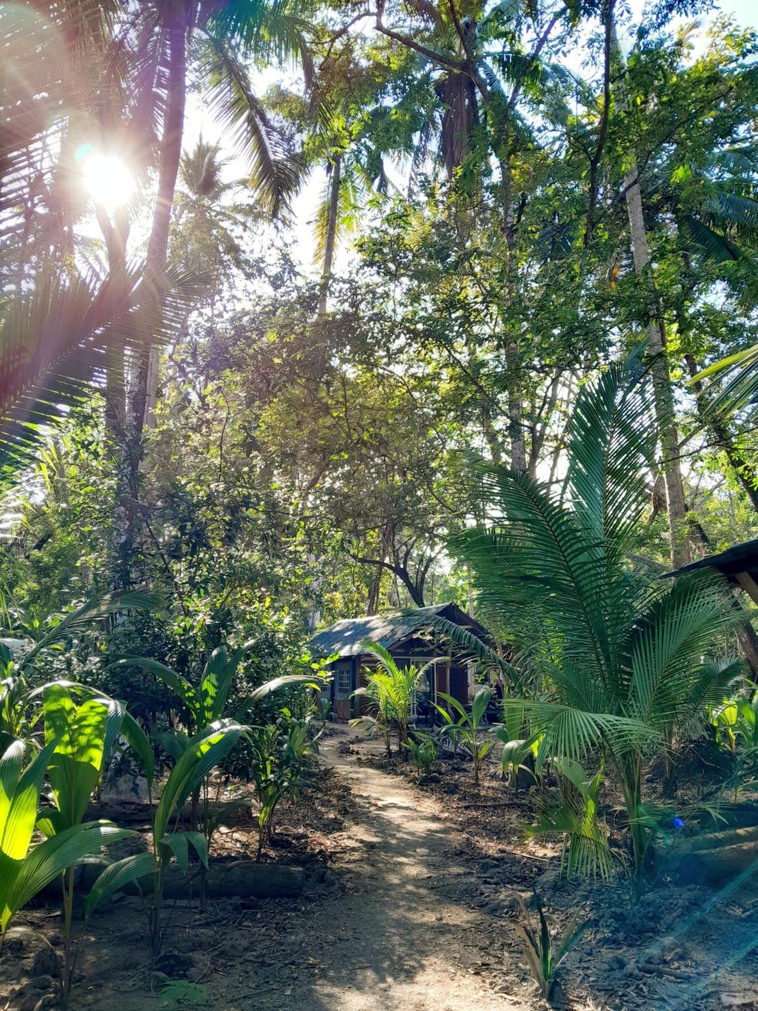 Fully Furnished Family Jungle Tent, Latino Glamping Пакера Екстериор снимка